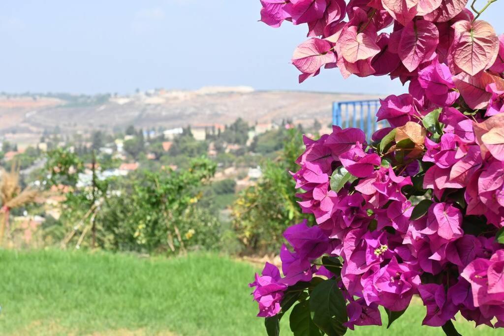 הוילה מטולה מול חרמון מראה חיצוני תמונה